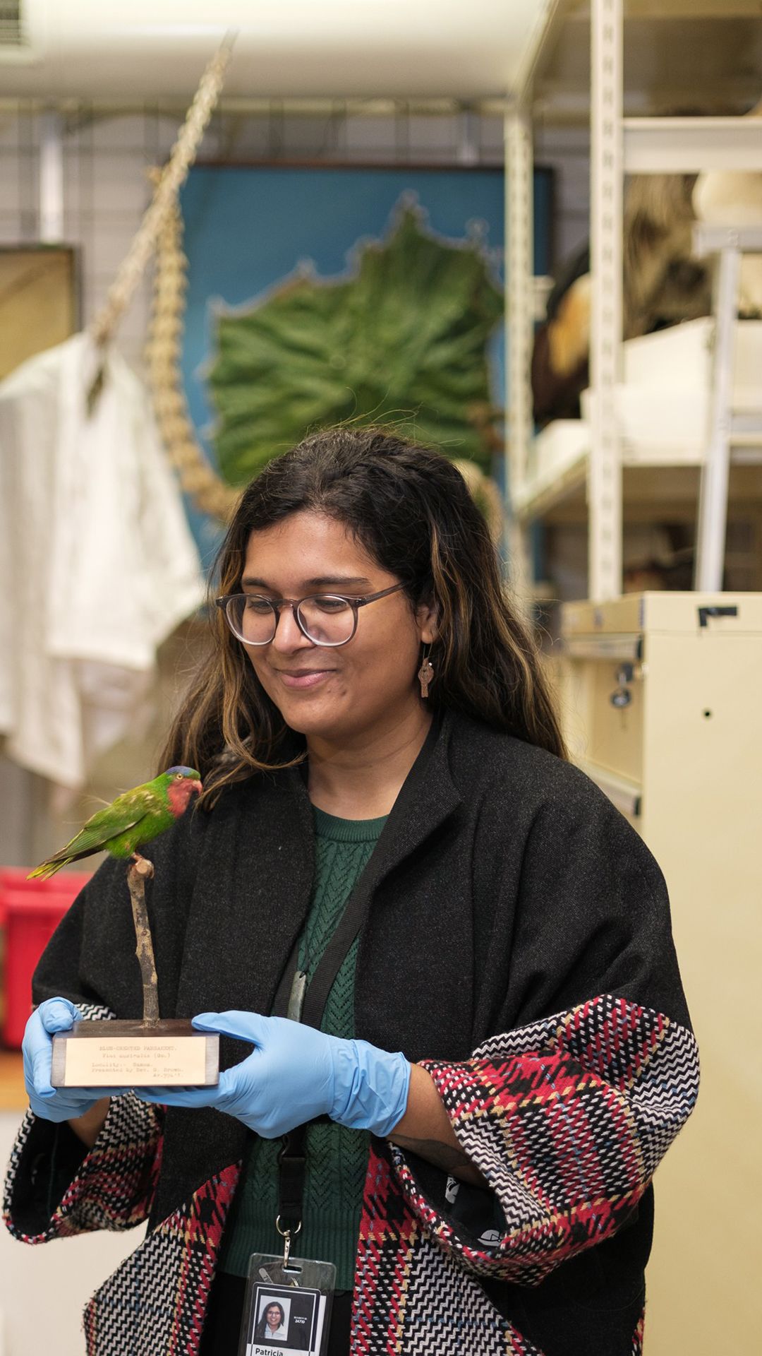 A painting by Peter Paul Reubens depicting Romulus and Remus and the wolf.