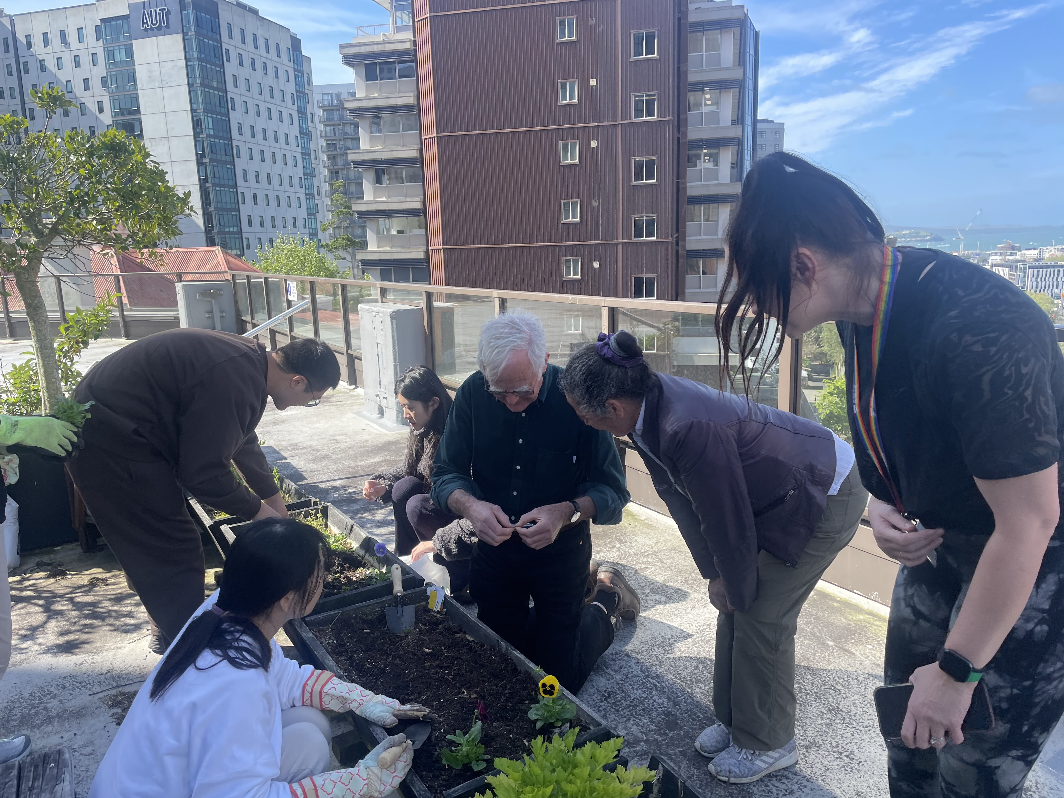 Professor Peter Hunter and students plant a roof garden.