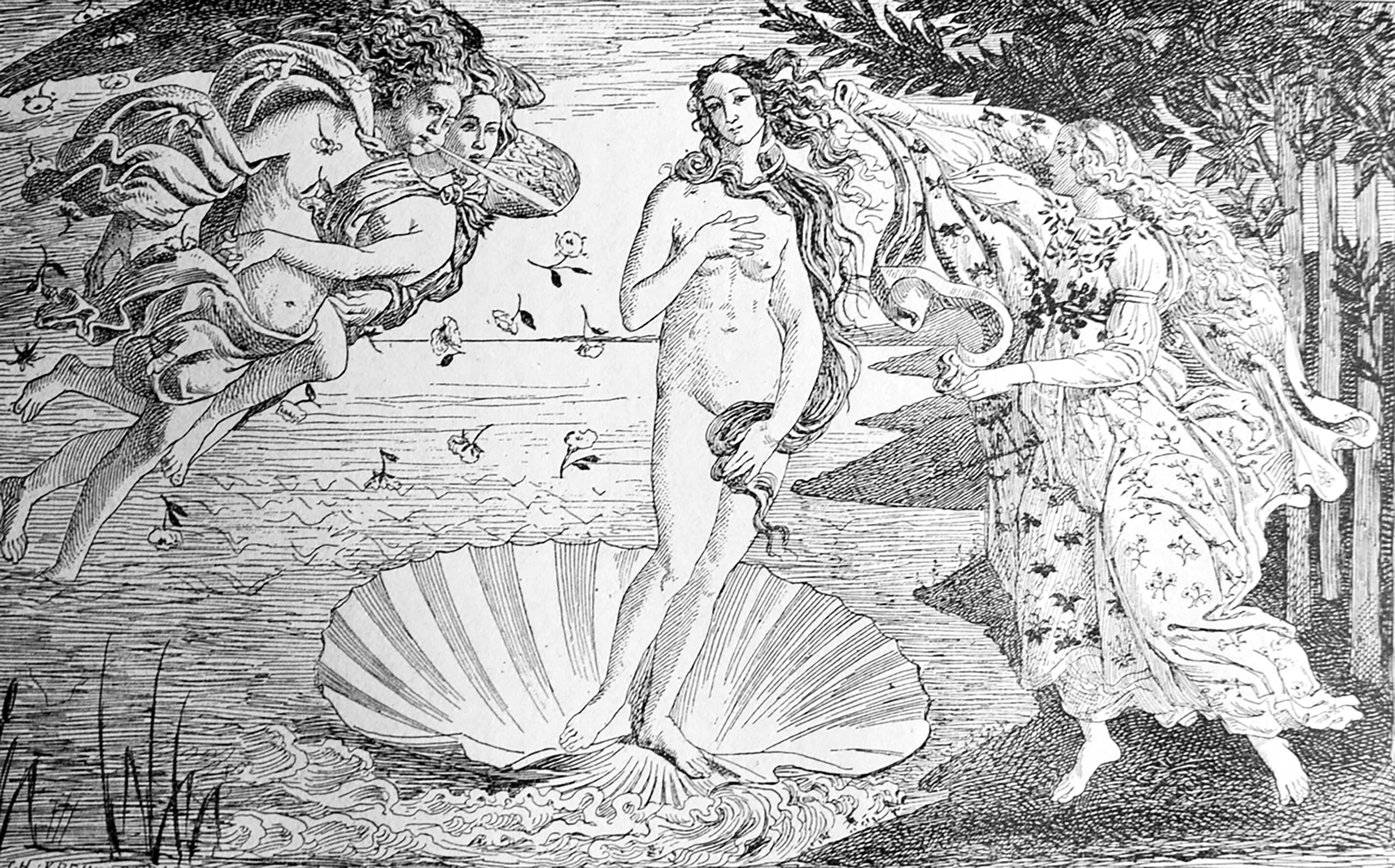 Themes do not 'emerge', something Braun calls 'the Venus on the half shell' fallacy.