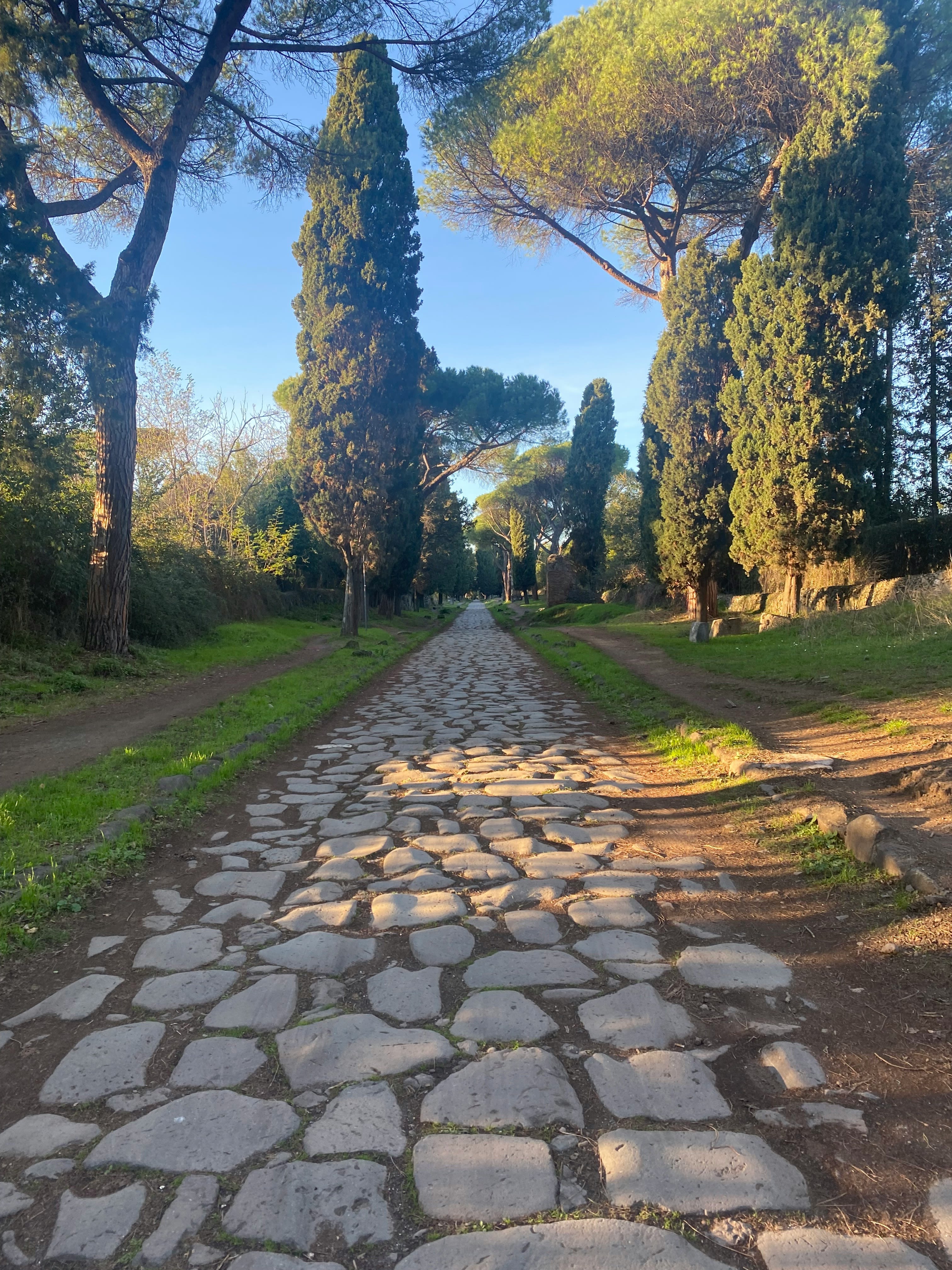 a cobblestone road in the middle of a park